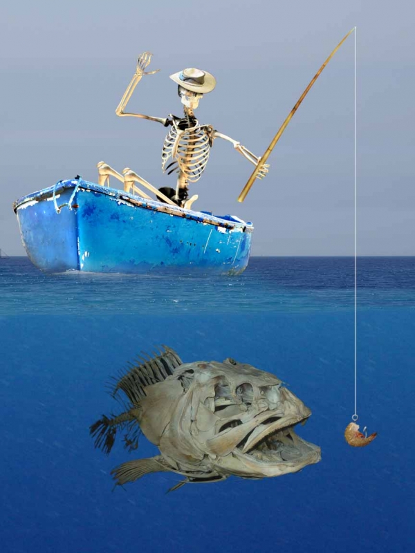 Creation of Fishing day: Step 12